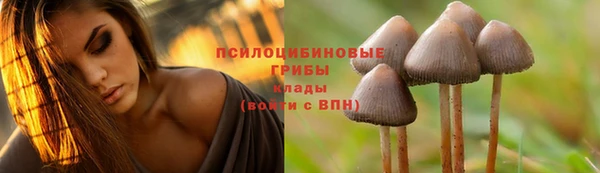 а пвп мука Волоколамск