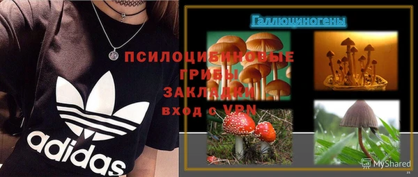 шишки Волосово