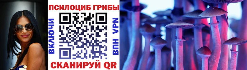 купить наркотик  Бердск  Галлюциногенные грибы ЛСД 